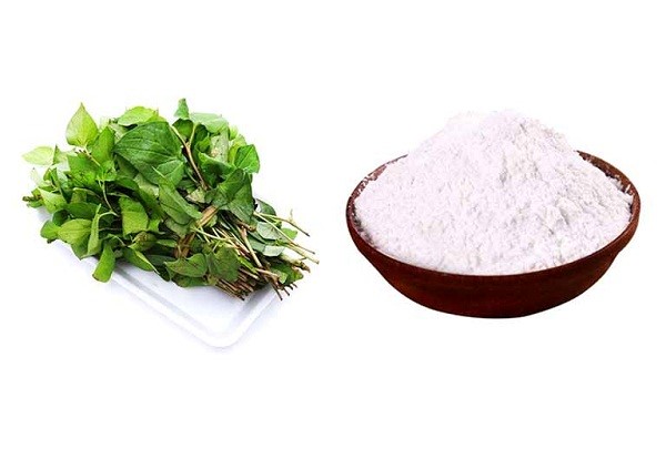 Trị mụn đầu đen cho bà bầu bằng rau diếp cá và bột gạo