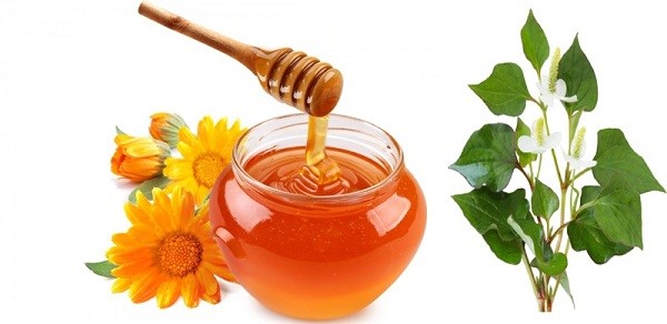 Trị mụn đầu đen cho bà bầu rau diếp cá và mật ong