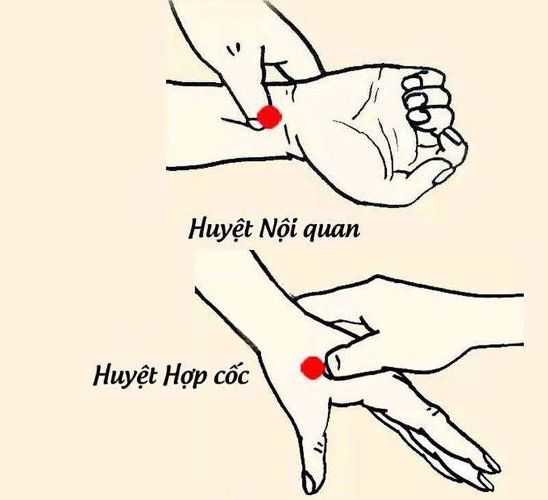 Hai vị trí huyệt đạo giúp bà bầu cải thiện tình trạng say tàu xe