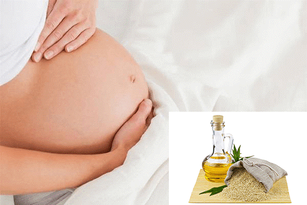 Những phương pháp phòng ngừa rạn da bằng dầu oliu