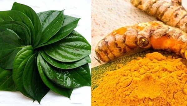 Mặt nạ lá trầu và nghệ tươi giúp trị nám da sau sinh