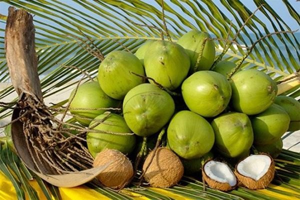 Nước dừa giúp ngăn ngừa mụn hiệu quả