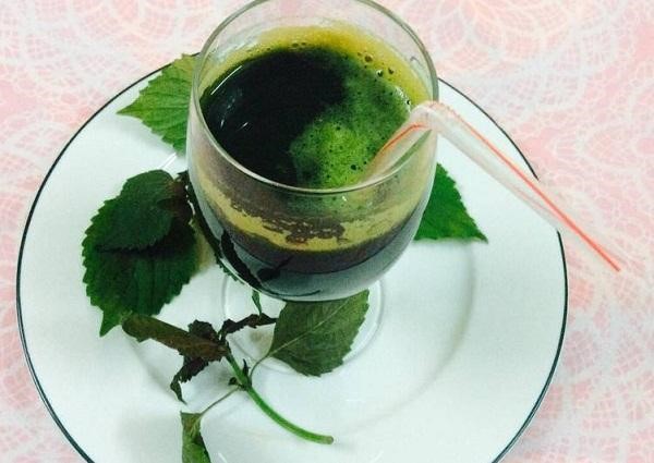 Sử dụng nước lá tía tô để uống hằng ngày