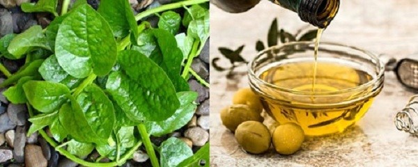 Chăm sóc da mặt bằng dầu oliu và mồng tơi
