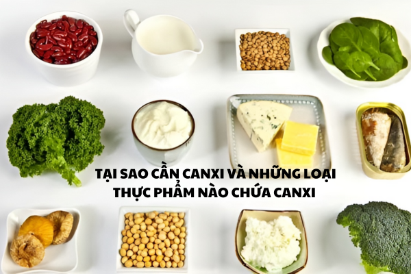 TẠI SAO CẦN CANXI VÀ NHỮNG LOẠI THỰC PHẨM NÀO CHỨA CANXI